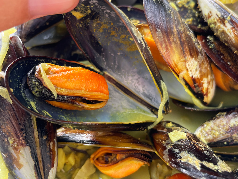 Moules au curry